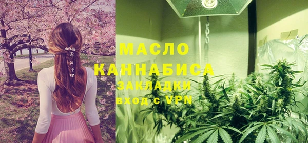 гашик Няндома