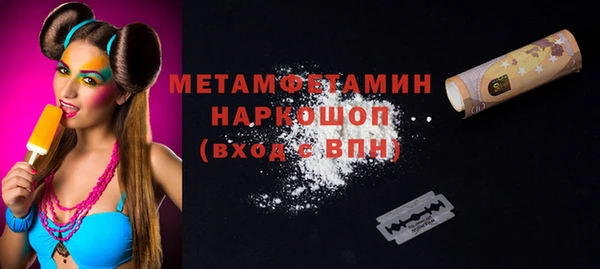 гашик Няндома