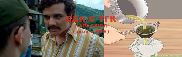 гашик Няндома