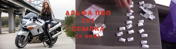 гашик Няндома