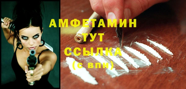 гашик Няндома