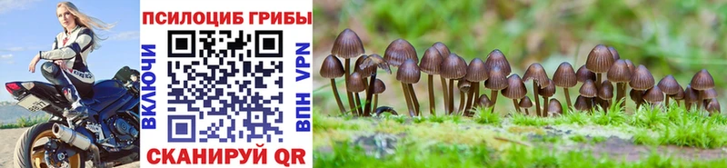 Псилоцибиновые грибы MAGIC MUSHROOMS  Курильск 